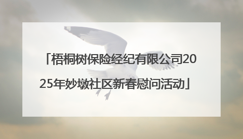 梧桐树保险经纪有限公司2025年妙墩社区新春慰问活动