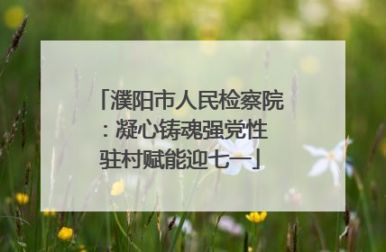 濮阳市人民检察院：凝心铸魂强党性 驻村赋能迎七一