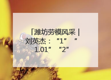 潍坊劳模风采｜刘英杰：“1”“1.01”“2”背后的奋斗密码