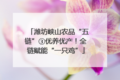 潍坊峡山农品“五链”③优养优产！全链赋能“一只鸡”