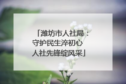 潍坊市人社局：守护民生淬初心 人社先锋绽风采