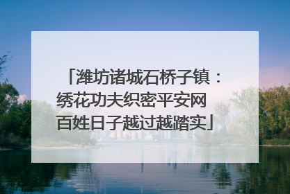 潍坊诸城石桥子镇：绣花功夫织密平安网 百姓日子越过越踏实