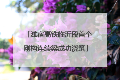 潍宿高铁临沂段首个刚构连续梁成功浇筑