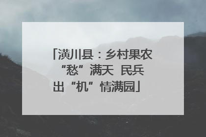 潢川县：乡村果农“愁”满天  民兵出“机”情满园