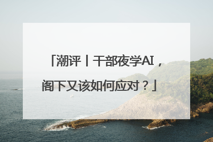 潮评丨干部夜学AI，阁下又该如何应对？