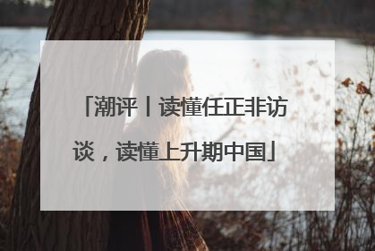 潮评丨读懂任正非访谈，读懂上升期中国