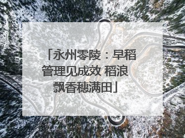 永州零陵：早稻管理见成效 稻浪飘香穗满田