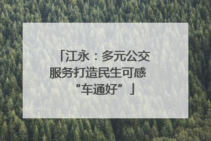 江永：多元公交服务打造民生可感“车通好”