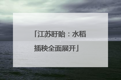 江苏盱眙：水稻插秧全面展开