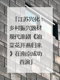 江苏兴化：乡村振兴题材现代淮剧《油菜花开燕归来》在南京成功首演