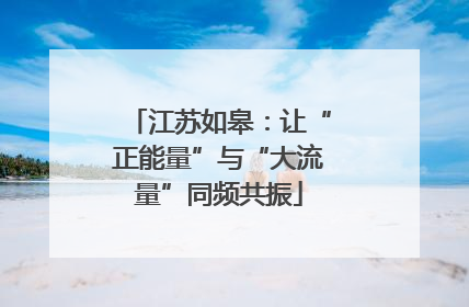 江苏如皋：让“正能量”与“大流量”同频共振