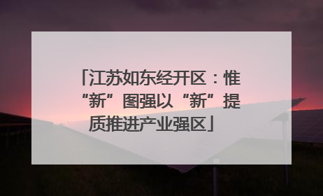 江苏如东经开区：惟“新”图强以“新”提质推进产业强区