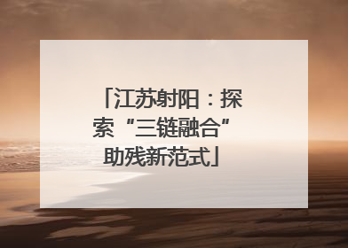 江苏射阳：探索“三链融合”助残新范式