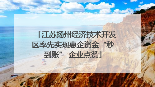 江苏扬州经济技术开发区率先实现惠企资金“秒到账” 企业点赞