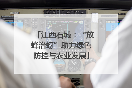 江西石城：“放蜂治蚜”助力绿色防控与农业发展