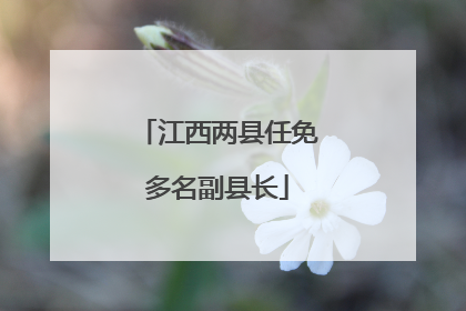 江西两县任免多名副县长