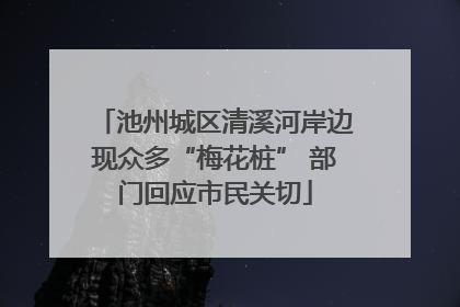 池州城区清溪河岸边现众多“梅花桩” 部门回应市民关切
