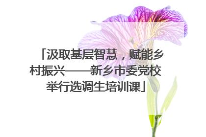 汲取基层智慧，赋能乡村振兴——新乡市委党校举行选调生培训课