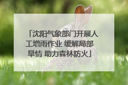沈阳气象部门开展人工增雨作业 缓解局部旱情 助力森林防火