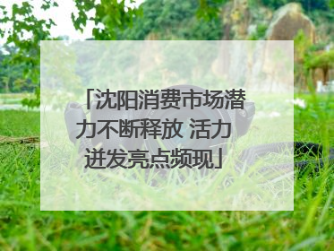 沈阳消费市场潜力不断释放 活力迸发亮点频现