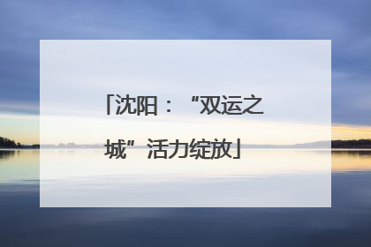 沈阳：“双运之城”活力绽放