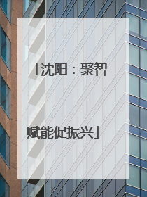 沈阳：聚智赋能促振兴