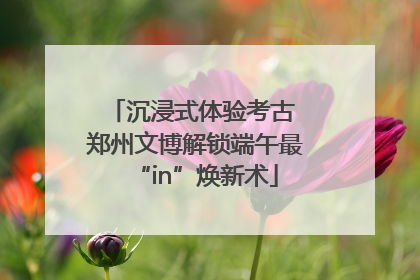 沉浸式体验考古 郑州文博解锁端午最“in”焕新术