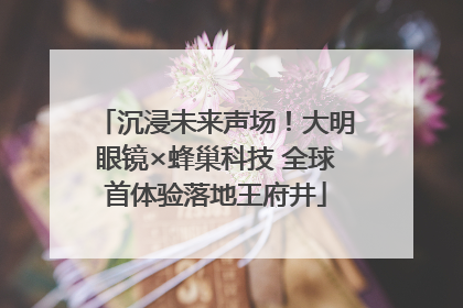 沉浸未来声场！大明眼镜×蜂巢科技 全球首体验落地王府井