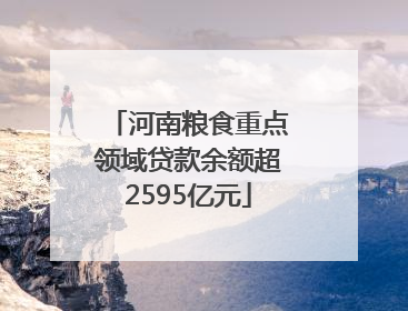 河南粮食重点领域贷款余额超2595亿元