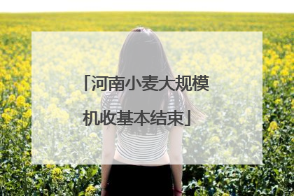 河南小麦大规模机收基本结束