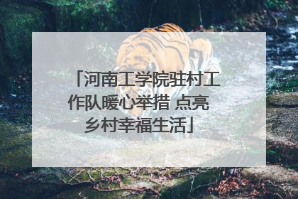 河南工学院驻村工作队暖心举措 点亮乡村幸福生活