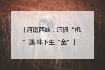 河南西峡：巧抓“机”遇 林下生“金”
