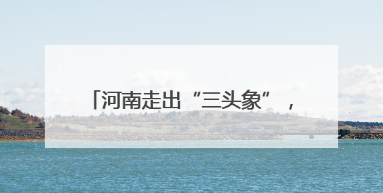 河南走出“三头象”，一头驮着Labubu