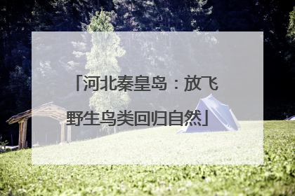 河北秦皇岛：放飞野生鸟类回归自然