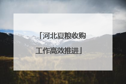 河北夏粮收购工作高效推进