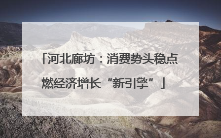 河北廊坊：消费势头稳点燃经济增长“新引擎”