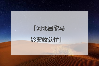 河北昌黎马铃薯收获忙