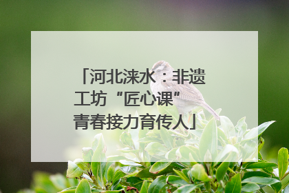 河北涞水：非遗工坊“匠心课” 青春接力育传人