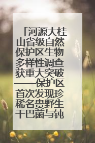 河源大桂山省级自然保护区生物多样性调查获重大突破——保护区首次发现珍稀名贵野生干巴菌与钝尾两头蛇