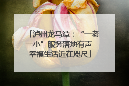泸州龙马潭：“一老一小”服务落地有声 幸福生活近在咫尺