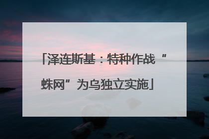 泽连斯基：特种作战“蛛网”为乌独立实施