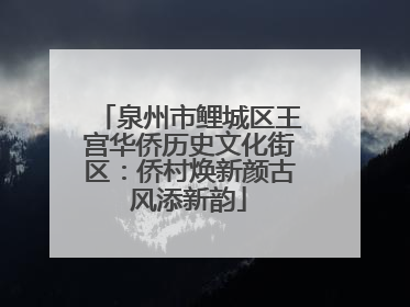 泉州市鲤城区王宫华侨历史文化街区：侨村焕新颜古风添新韵