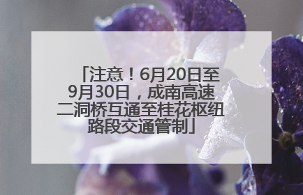 注意！6月20日至9月30日，成南高速二洞桥互通至桂花枢纽路段交通管制