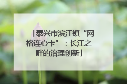 泰兴市滨江镇“网格连心卡”：长江之畔的治理创新
