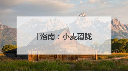 洛南：小麦覆陇黄 丰收好时节