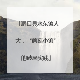 洞口县水东镇人大：“蘑菇小镇”的破局实践