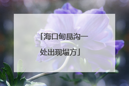 海口甸昆沟一处出现塌方