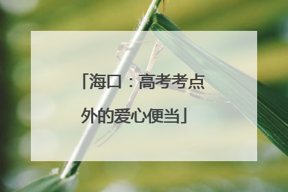 海口：高考考点外的爱心便当