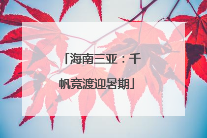 海南三亚：千帆竞渡迎暑期