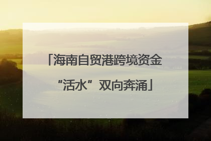 海南自贸港跨境资金“活水”双向奔涌